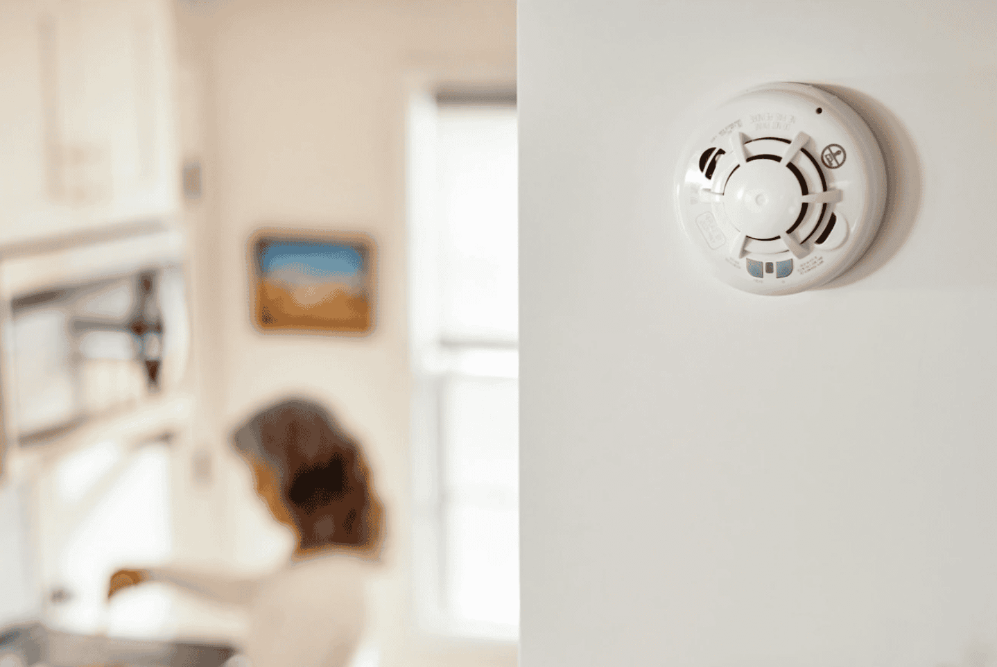 Our Vivint technician recommended installing our device near the kitchen Our Vivint technician recommended installing our device near the kitchen